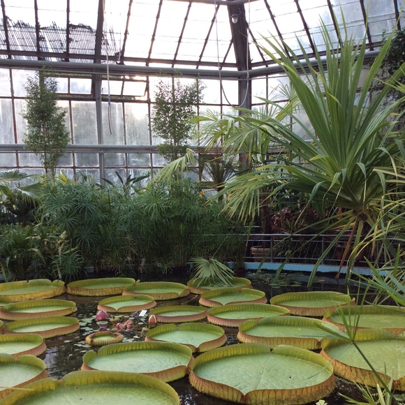 Meet your Poshe - Picture 1 of 2